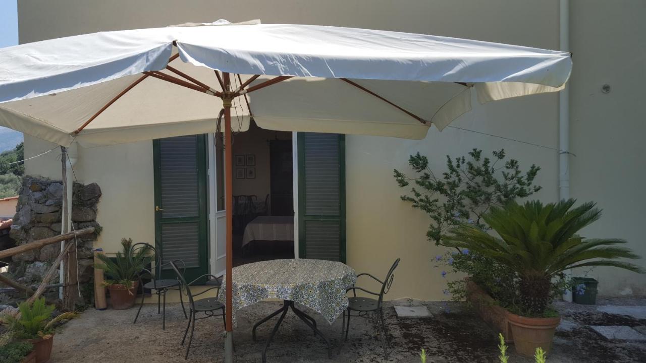 Gli Ulivi Agriturismo Sant'Agnello Buitenkant foto