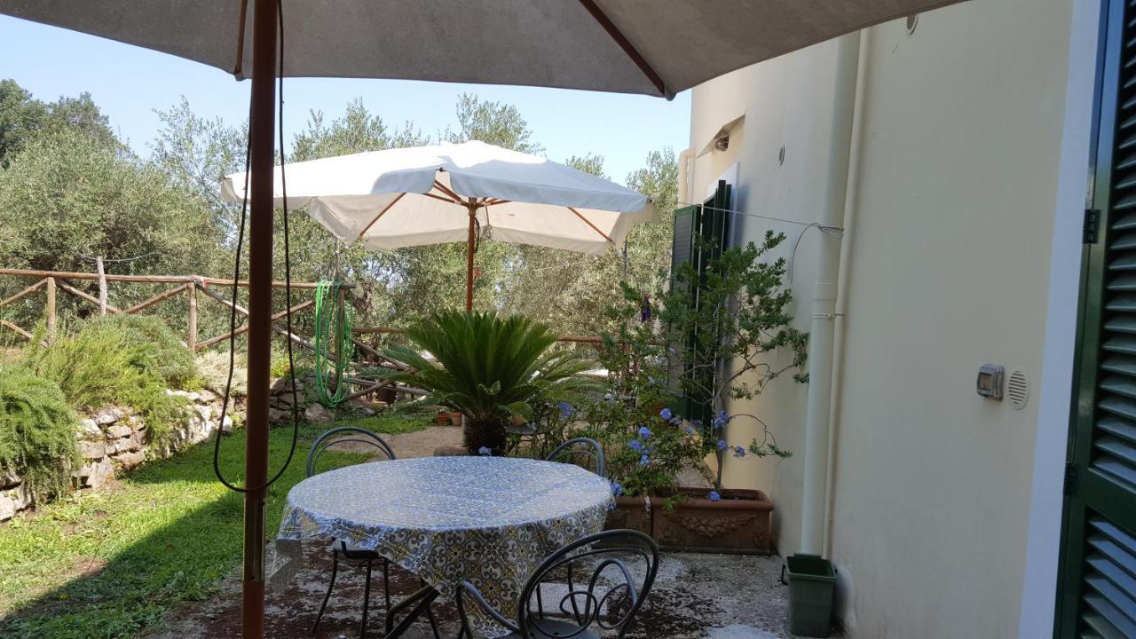 Gli Ulivi Agriturismo Sant'Agnello Buitenkant foto