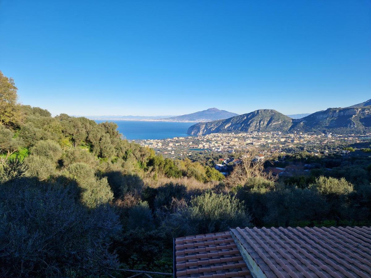 Gli Ulivi Agriturismo Sant'Agnello Buitenkant foto