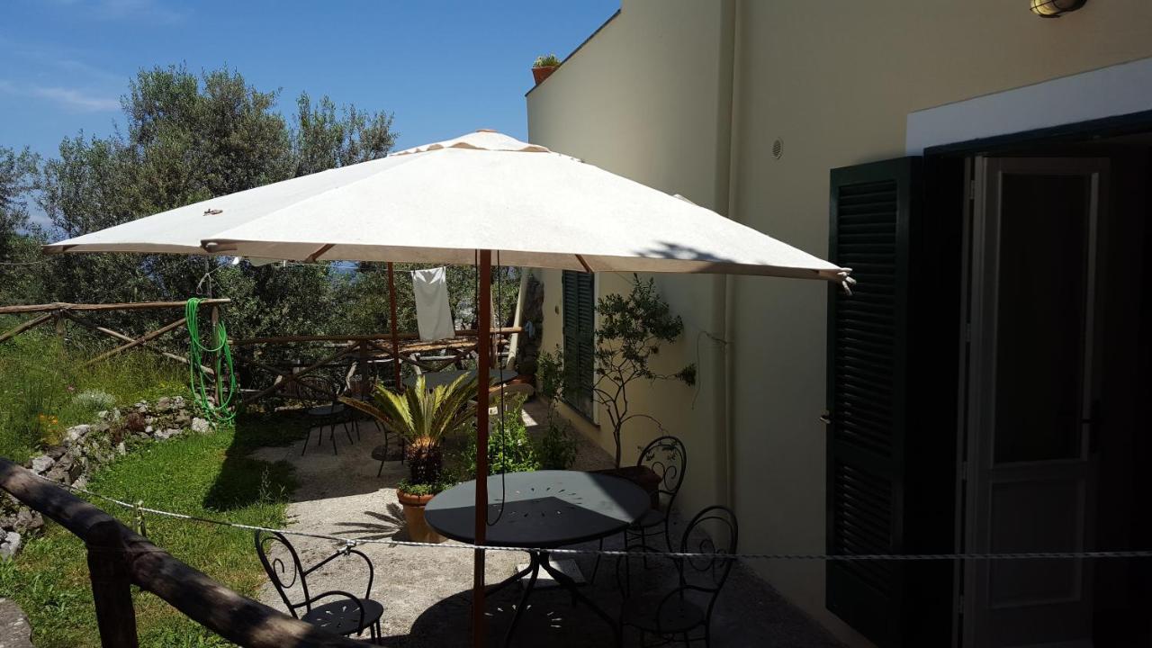 Gli Ulivi Agriturismo Sant'Agnello Buitenkant foto
