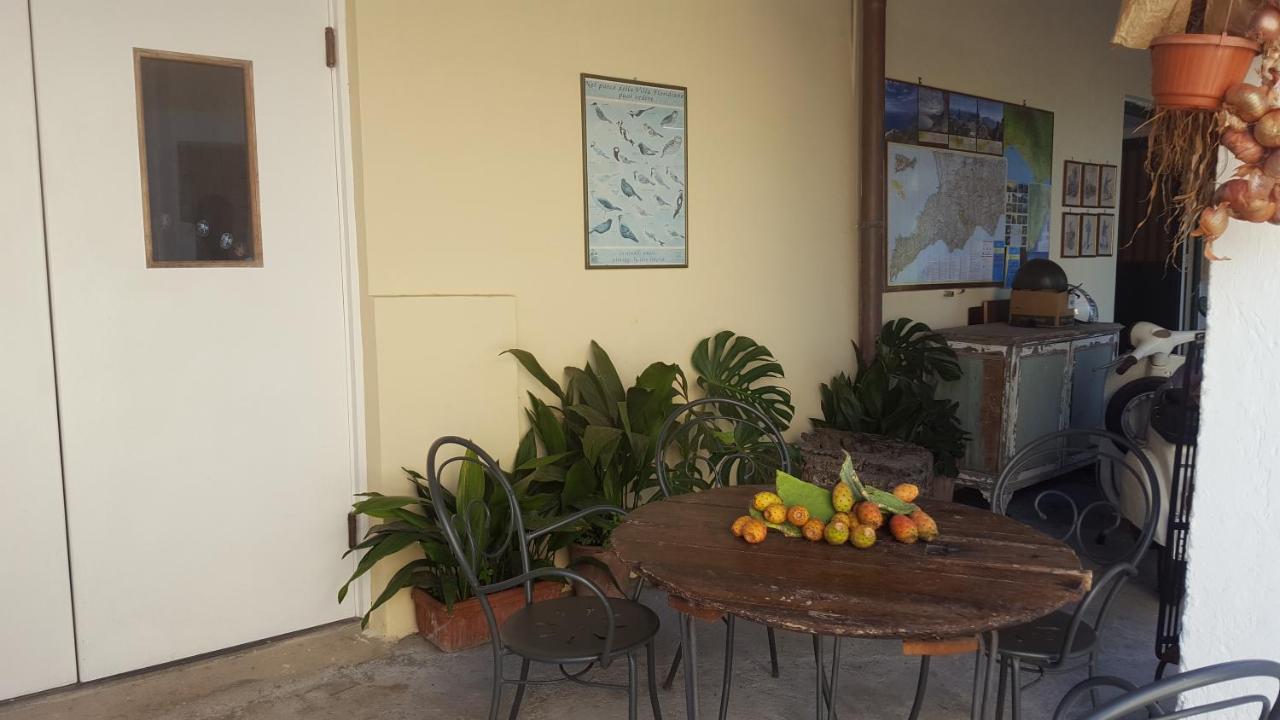 Gli Ulivi Agriturismo Sant'Agnello Buitenkant foto