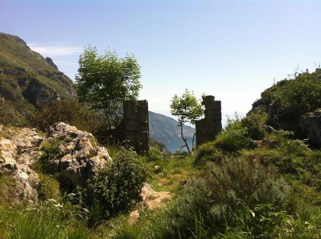 Gli Ulivi Agriturismo Sant'Agnello Buitenkant foto