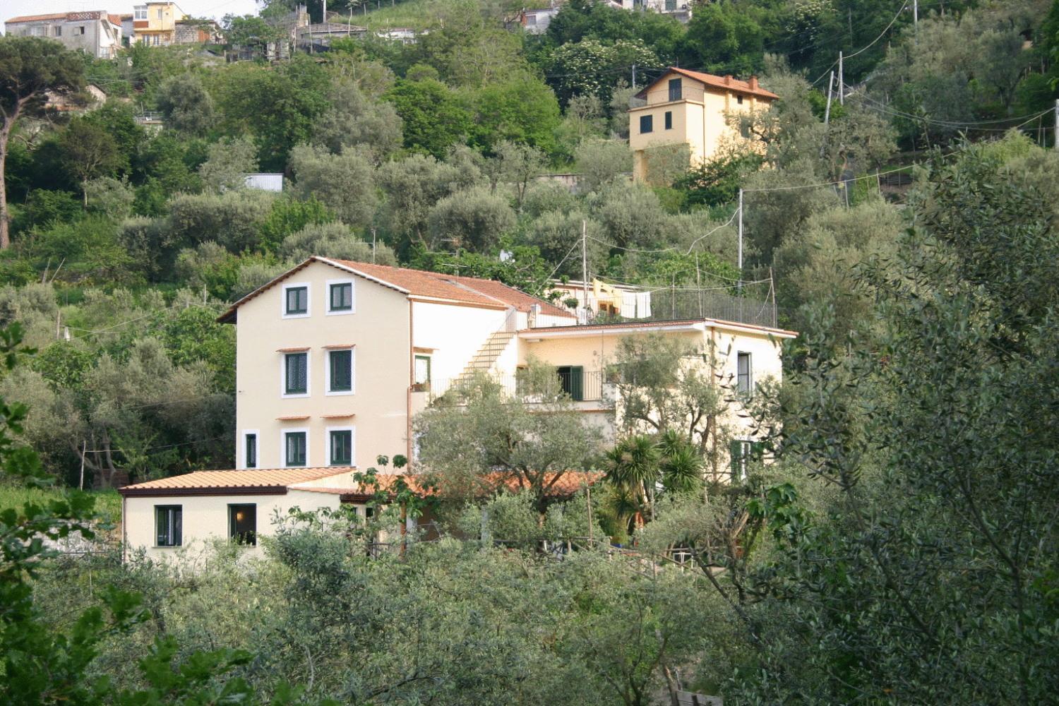 Gli Ulivi Agriturismo Sant'Agnello Buitenkant foto