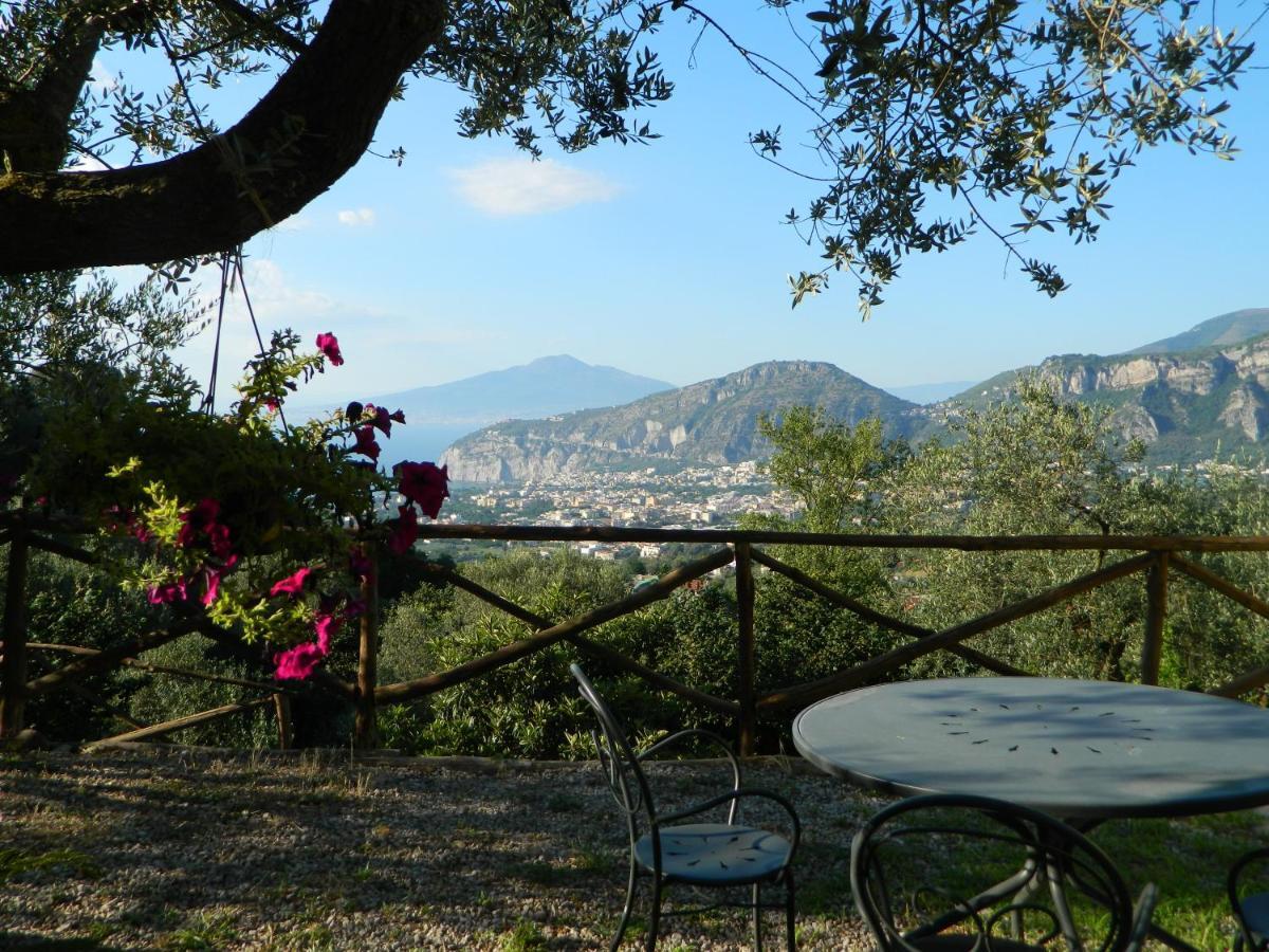 Gli Ulivi Agriturismo Sant'Agnello Buitenkant foto