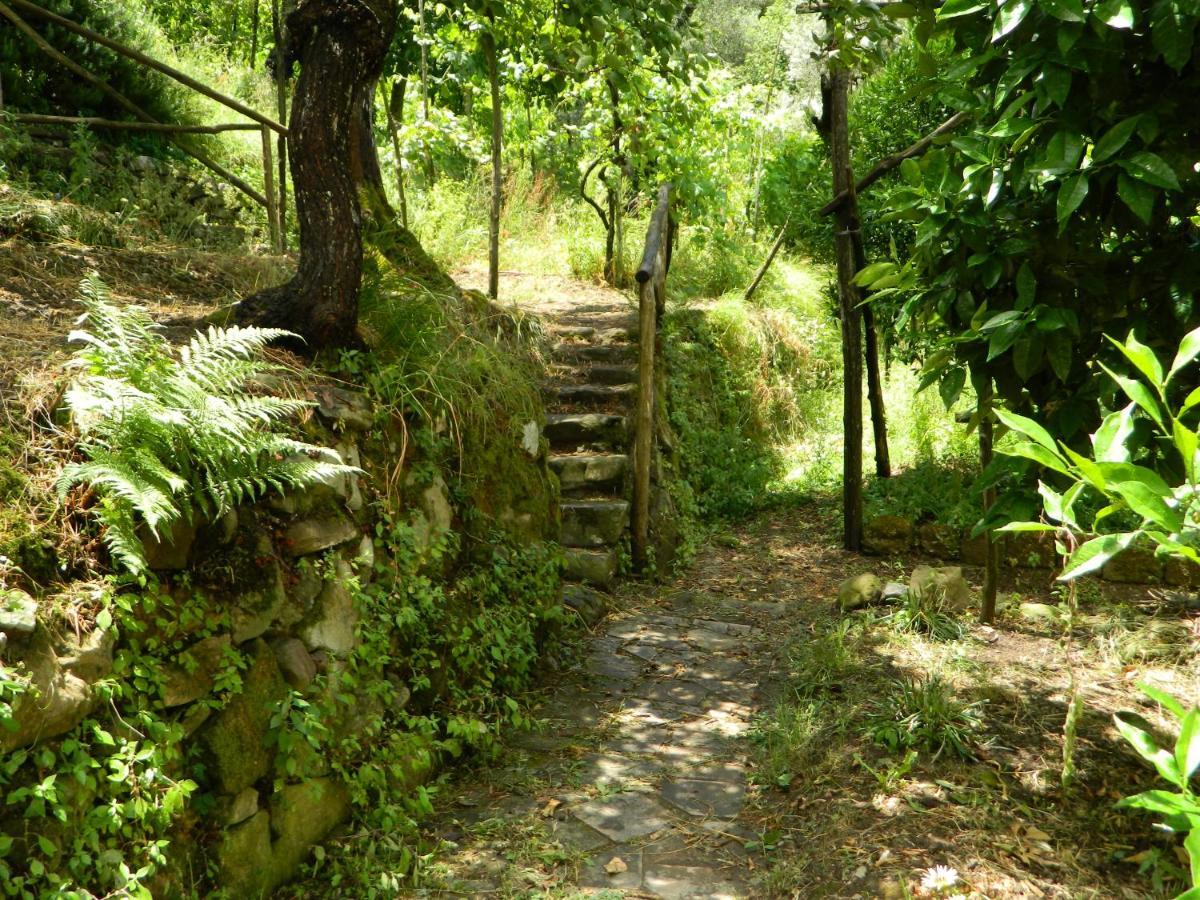 Gli Ulivi Agriturismo Sant'Agnello Buitenkant foto