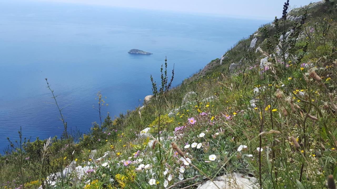 Gli Ulivi Agriturismo Sant'Agnello Buitenkant foto